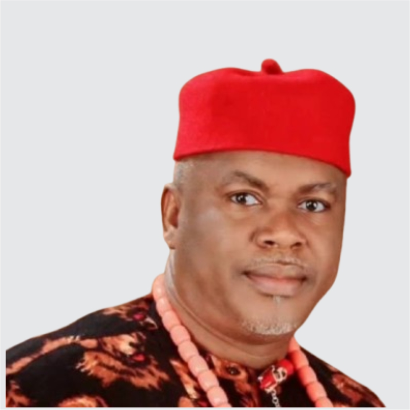 Mr. Chukwudi Nwosu